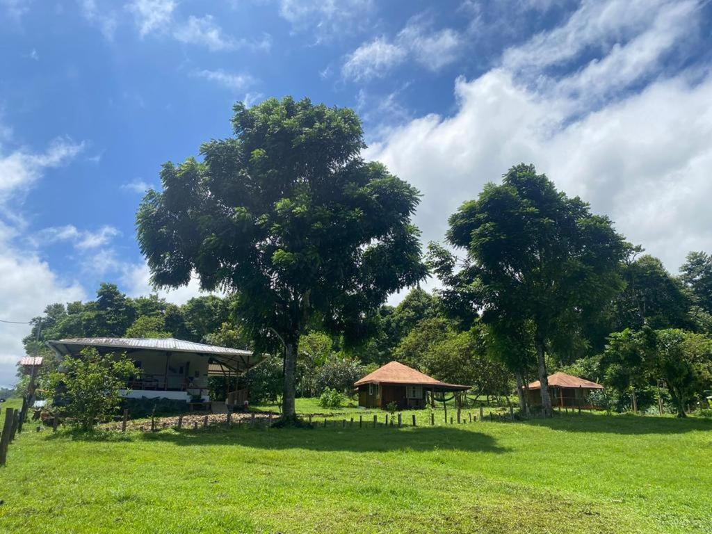 Galapagos Cabanas Eden Bellavista  エクステリア 写真
